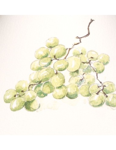 Abat jour pour lustre