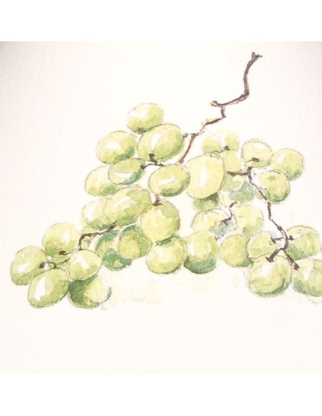 Abat jour pour lustre