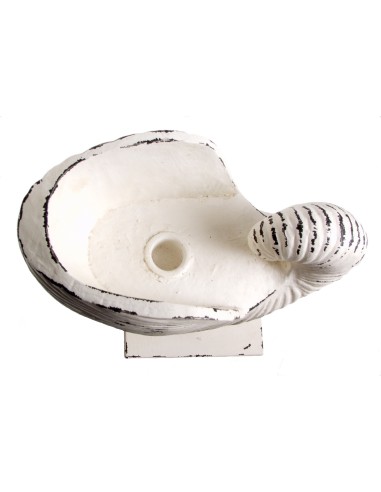 GRAND BOUGEOIR NAUTILUS