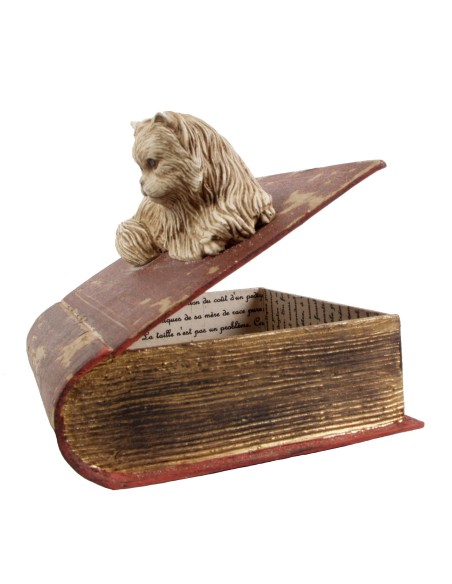 BOITE AVEC  CHAT MIMINE