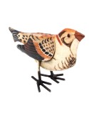 LITLLE BIRD