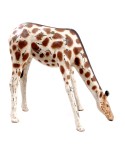 FIGURINE GIRAFE