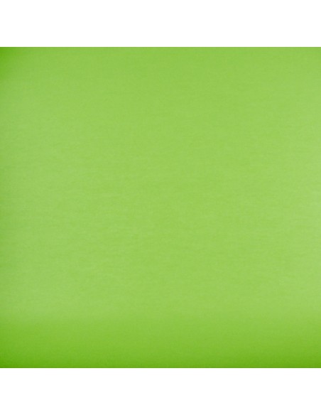 ECHANTILLON CHINTZ  GRANNY