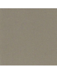 ECHANTILLON COTONNETTE SOURIS